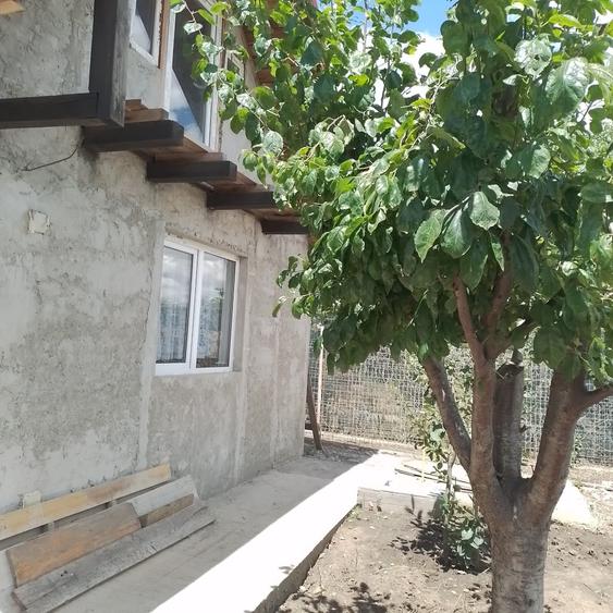 Casă cu 2 camere în Central