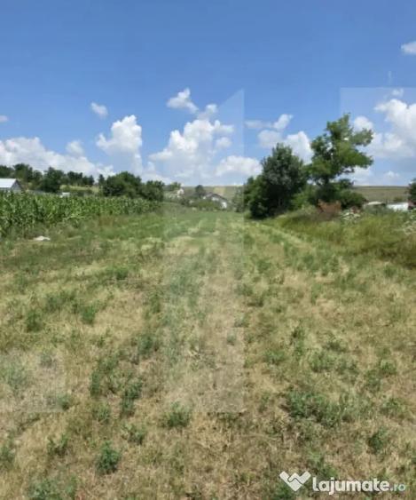 Teren în Bălușeni