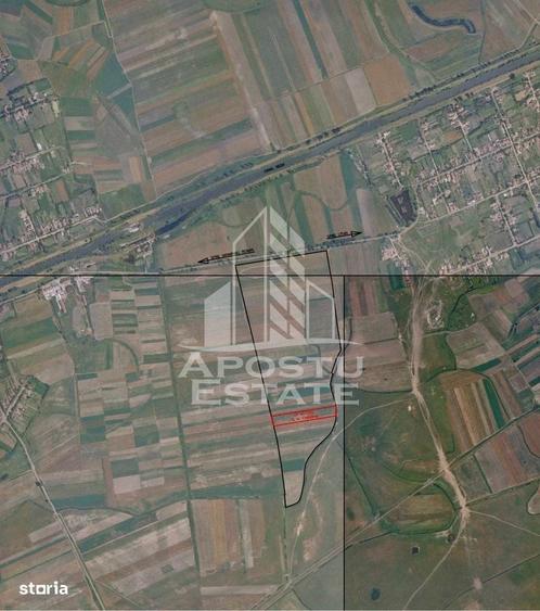 Spațiu comercial, în Moșnița Nouă