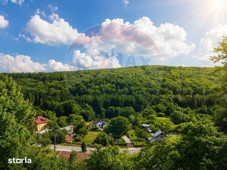 Casa de vanzare | Valea Budului | Oportunitate unica - 20