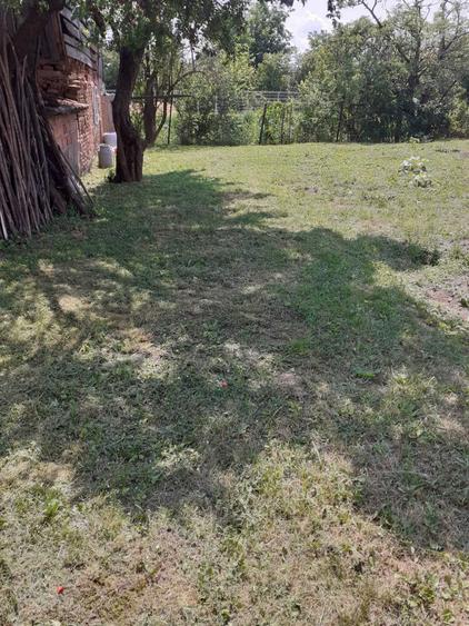 Casă cu 4 camere în Terezian