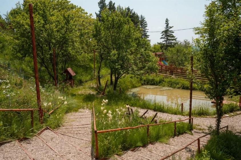 Casă cu 2 camere în Pleși