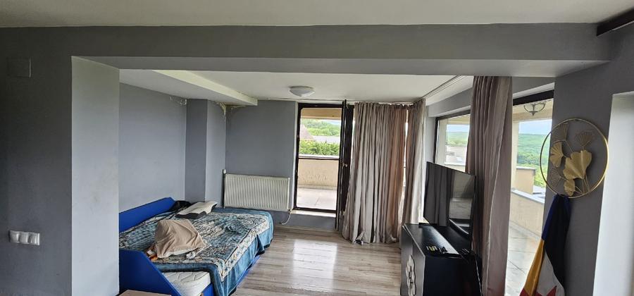 Casa individuala, 7 camere, 5 bai, 5 parcari,curte, rooftop- Europa - 14