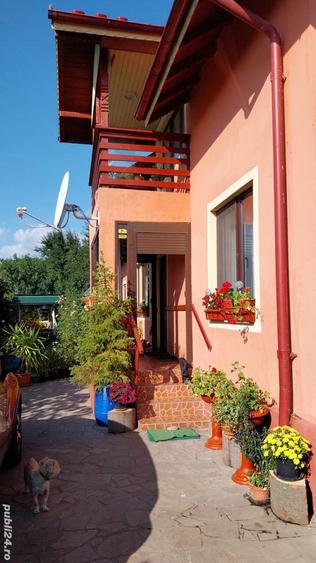 Proprietar vand vila la munte - 9