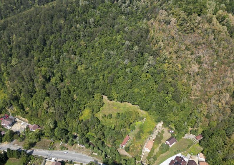 Teren intravilan de 1500 mp pe deal in Moneasa - 8