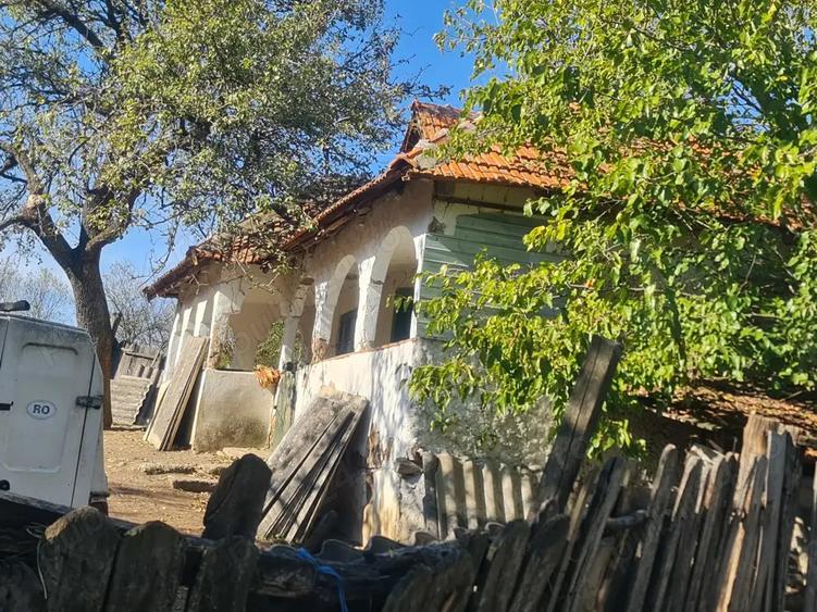 Casa si pamant agricol de vanzare - 1