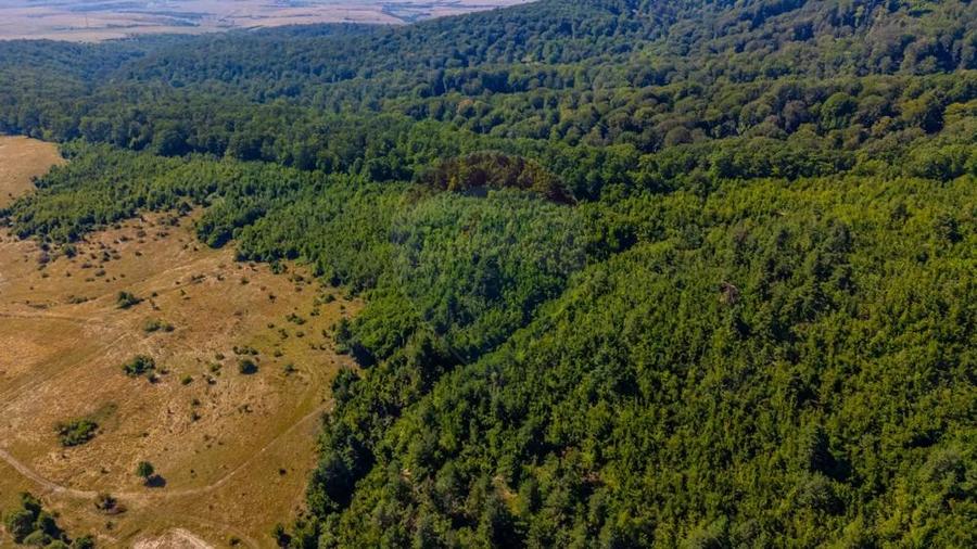 Teren 6,000mp Crizbav / Strada principala - 8