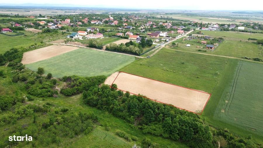 Teren intravilan 2.935 mp in Viile Satu Mare | Aproape de padure - 3