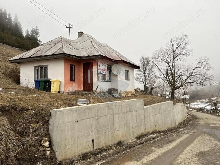 Teren 3808mp+Casa Fundata, Bra?ov - Cheile Gradi?tei - Drum asfaltat - 6