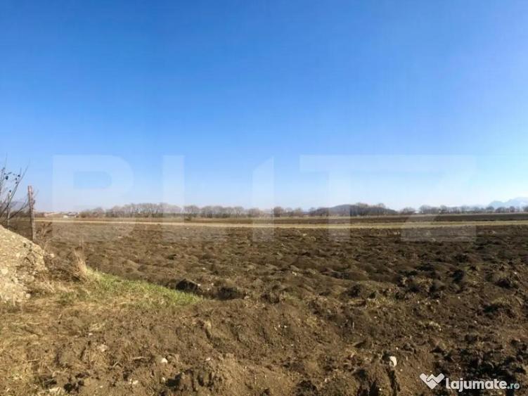 Teren intravilan 10000mp, Bod - 1