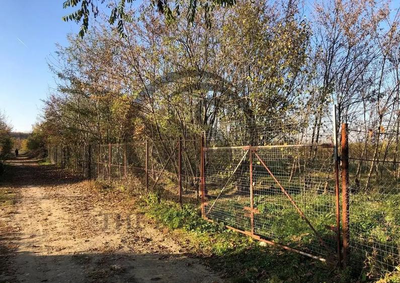 Teren intravilan de vanzare | 12.650 mp | Ghirdoveni, | C... - 4