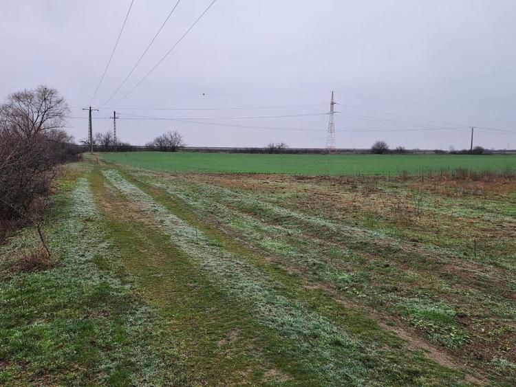 Vand teren agricol extravilan în Giroc - 3