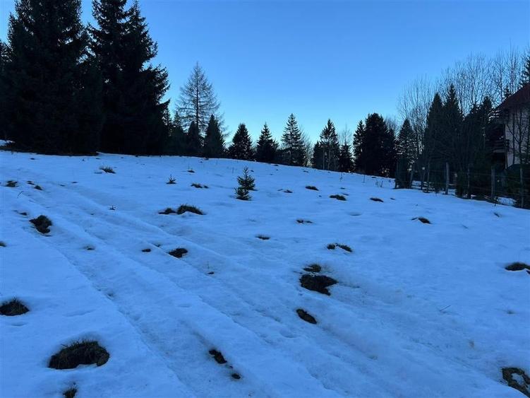 TEREN PREDEAL BRASOV - 4