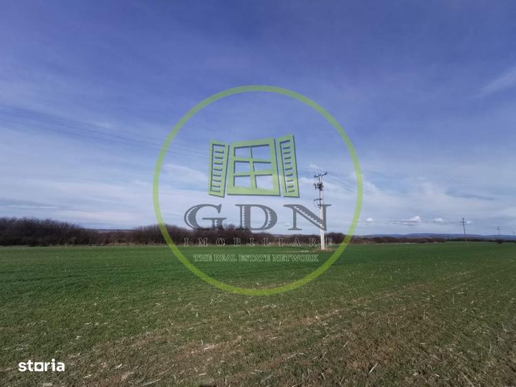 Teren extravilan de vanzare in Sacadat, 21.496 mp, cu deschidere de 42 - 8