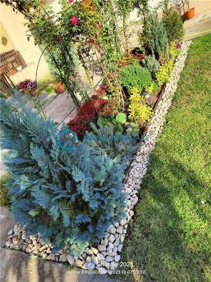 Royal Imobiliare - Vanzare Vila zona Dorobantul - 4