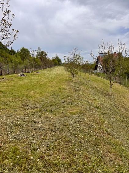 Teren de vanzare zona Valisoara Jud Alba - 4