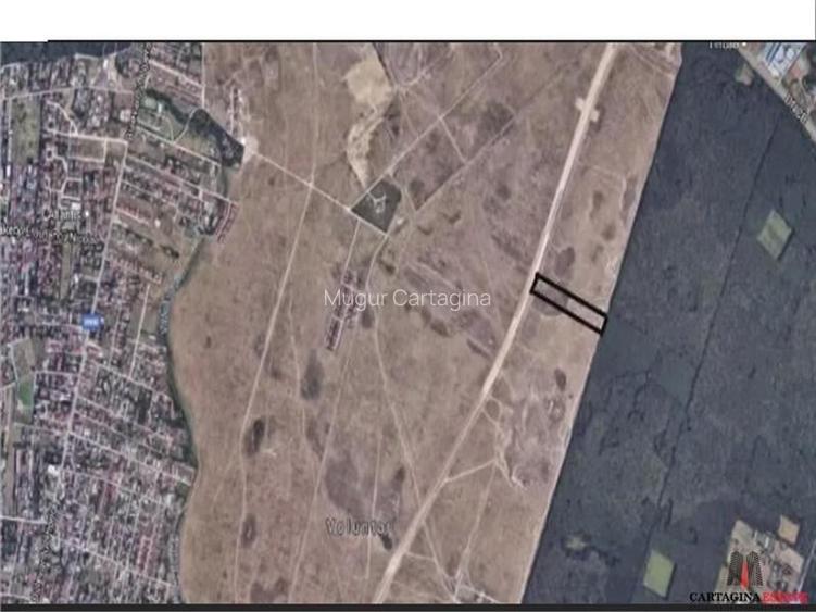 TEREN INTRAVILAN 10.000MP / FS 30ML - MILLO PRELUNGIRE