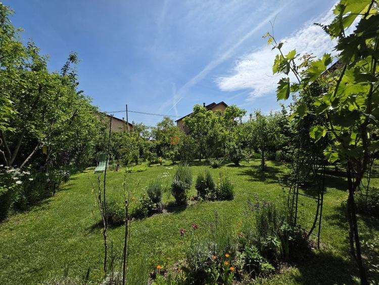 Refugiu Verde in Corbeanca – Vila Premium cu Gradina Matura - 20
