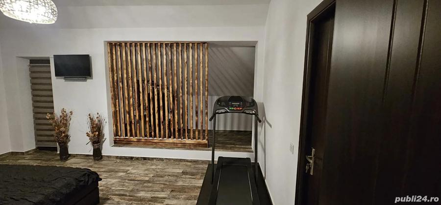 Casa de vanzare Titesti-Valea Stanii - 7