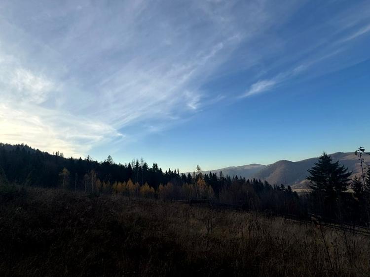 Vanzare 5,3 ha pasune deasupra Voronetului Suceava - Proiect Turistic - 9