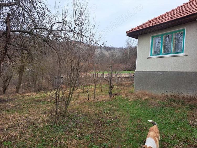 Casa de vanzare in Vladimir jud. Gorj - 8