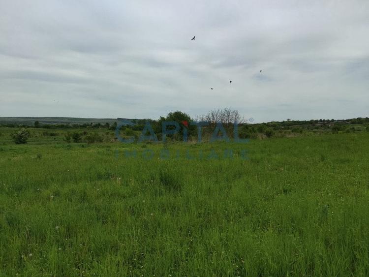 Comision 0%! Oportunitate, teren intravilan, 800 mp Masterplan, Sopor - 5