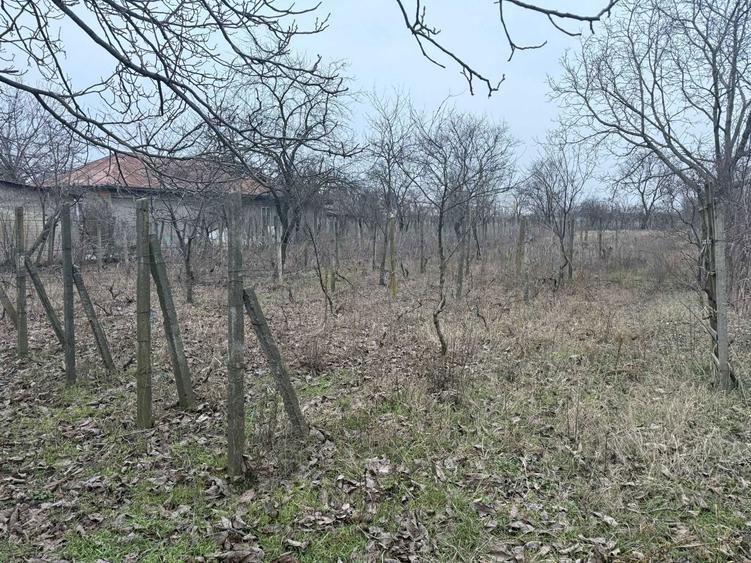 VAND teren intravilan MIZIL - 1