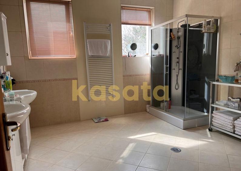 Vila deosebita 11 camere Erou Iancu Nicolae - 14