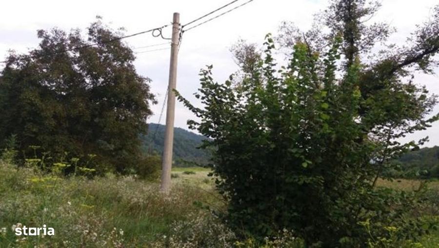 Teren intravilan de vanzare 5735 mp Ribita - 4