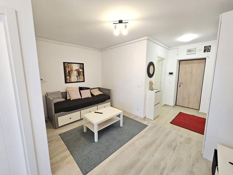 Apartament cu o camera de inchiriat, Hils Pallady - 12