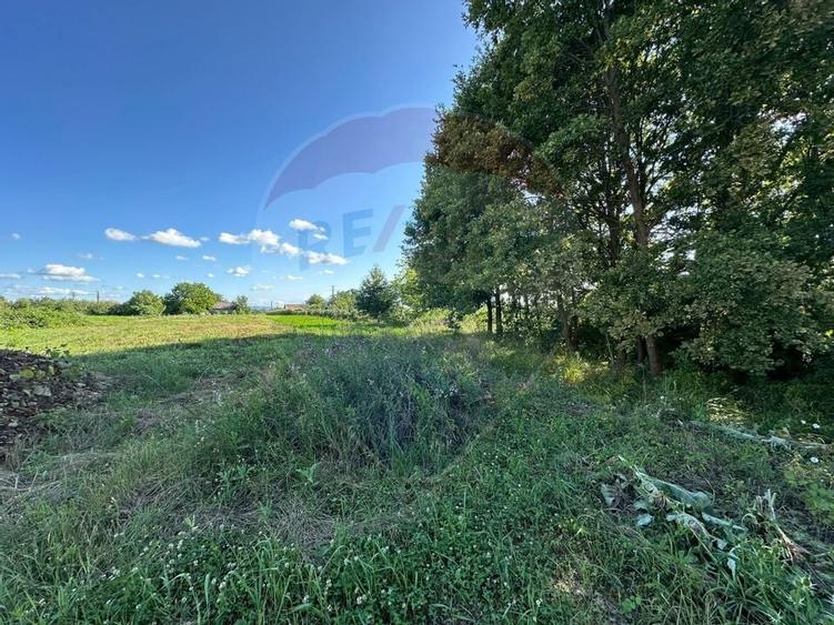 TEREN pentru "ACASA "- Bozanta Mica - 4