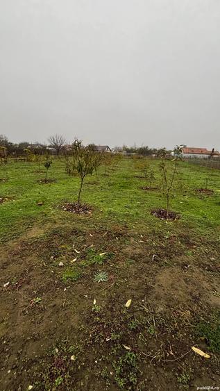 Casa de vanzare Osica de Sus - 2