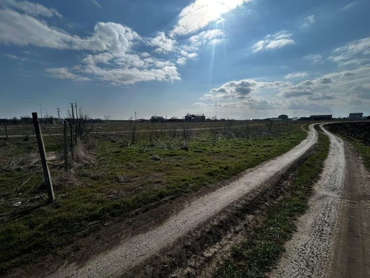 vânzare doua loturi Teren intravilan  – Techirghiol - 2