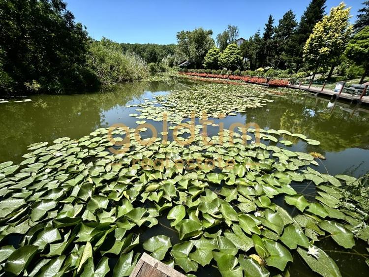 O VILA PERFECTA/IMPECABIL CONSTRUITA/4CAMERE 260MP/TEREN 1000MP/ACCES LAC-PADURE - 56