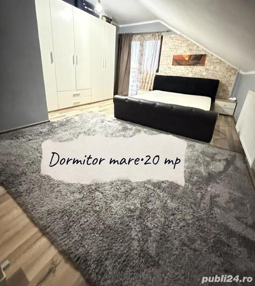 Direct proprietar, 6 camere, casa individuala mare unfamiliara + spatiu business, 10 km de Timisoara - 2