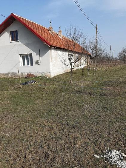 vand casa cu gradina mare cu pomi - 4