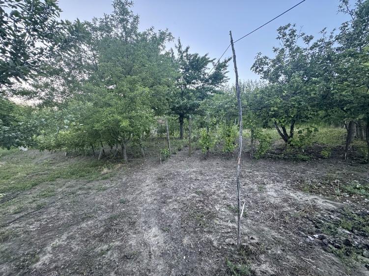 Casa cu teren intravilan 3100 mp - 3