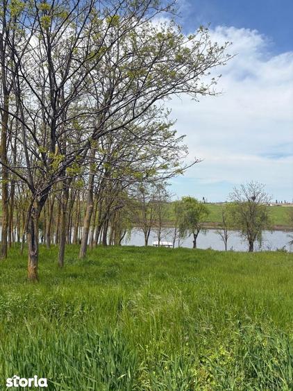 Oportunitate ideala pentru casa langa lac si padure de salcami - 3