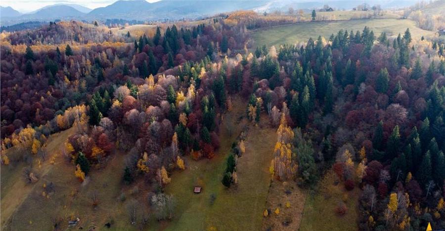 Proprietate autentica, stil traditional:Eco, cu parau pitore - 7