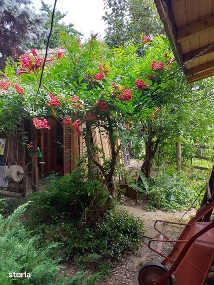 Casa de vacanta comana Izvoarele-Maneciu, Valenii de Munte - 14