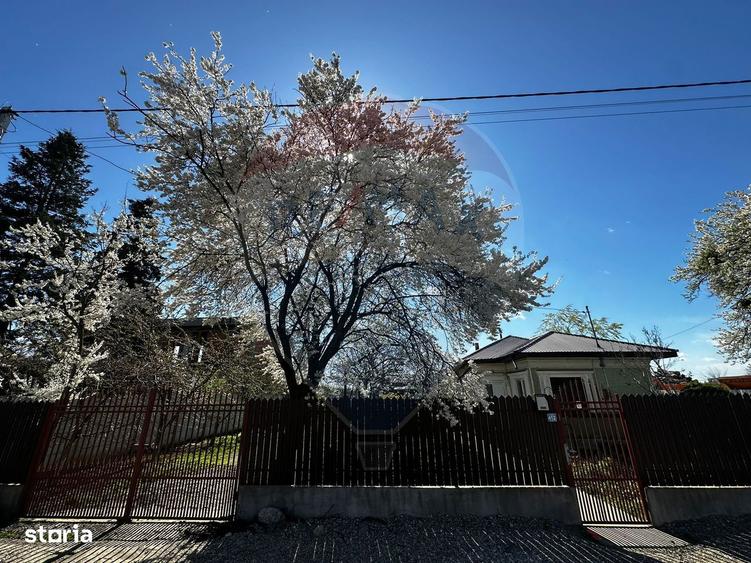 Casa de de vanzare Tartasesti - 11