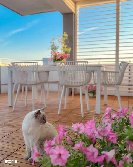 Apartament unic cu pereti individuali, 2 terase: 82/33 mp - 6