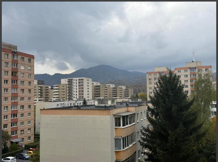 Apartament 2 camere ,etaj intermediar,Calea Bucuresti - 17