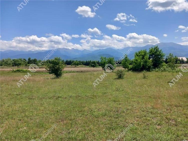 Teren intravilan 5000 mp pe Valea Avrigului, Sibiu - 1