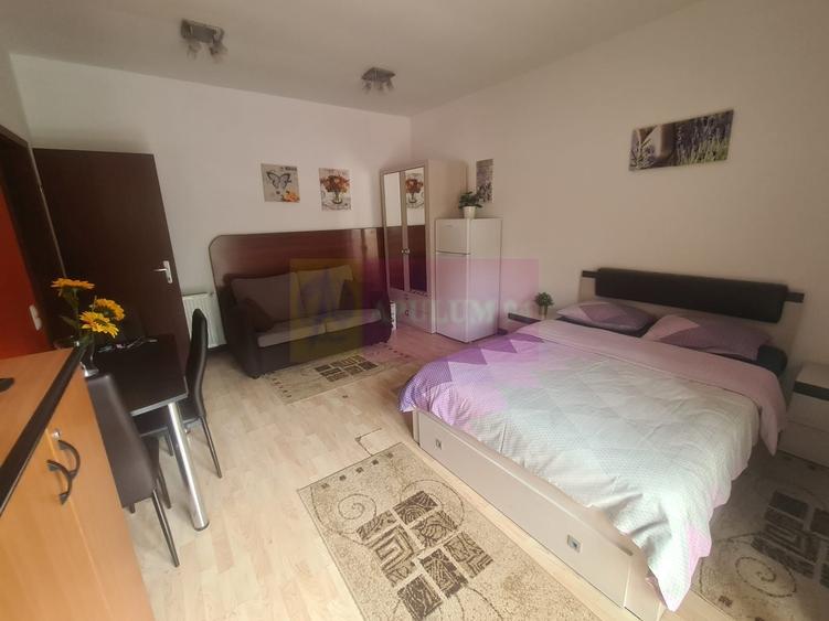 Garsoniera de inchiriat in Sinaia - 5