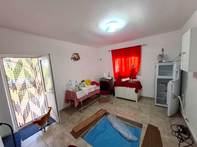 Casa si teren de vanzare Blidari - Cotesti - 10