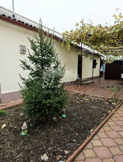 Casa 3 camere situata in Valul lui Traian - 19