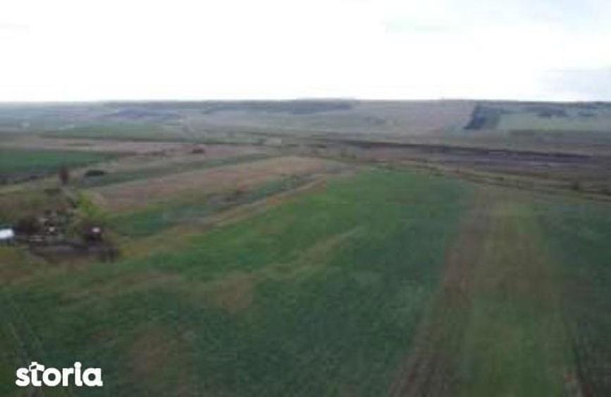 Teren Albesti, Vaslui, ID: R2893960 - 6