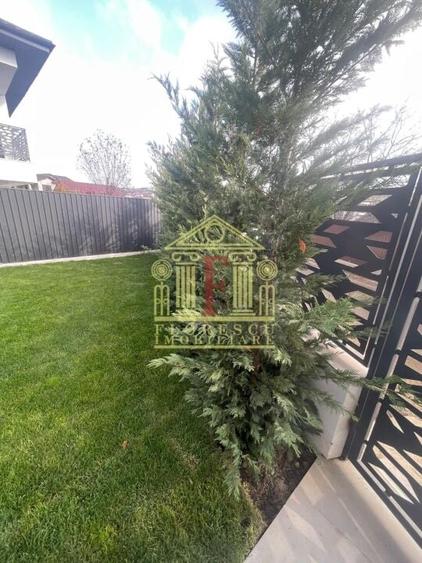 Proprietate superba ! Visan ! - 5