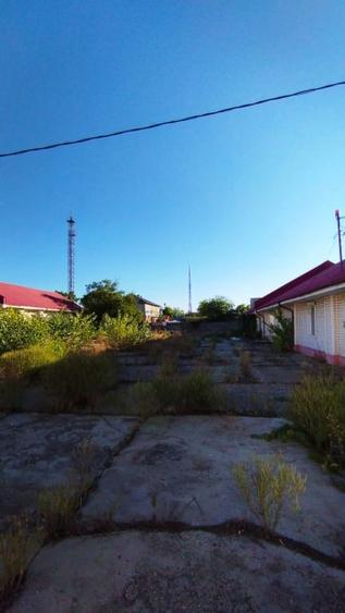 OCAZIE Complex industrial 4 hale productie + depozitare, 17.000 mp, des 180mp - 2